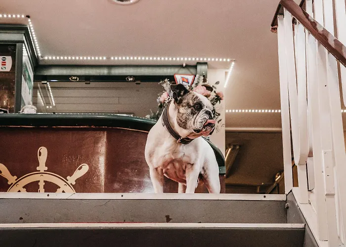 Schiffsherberge Poeppelmann Hotel en barco