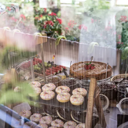 Schiffsherberge Pöppelmann Botel Dresden