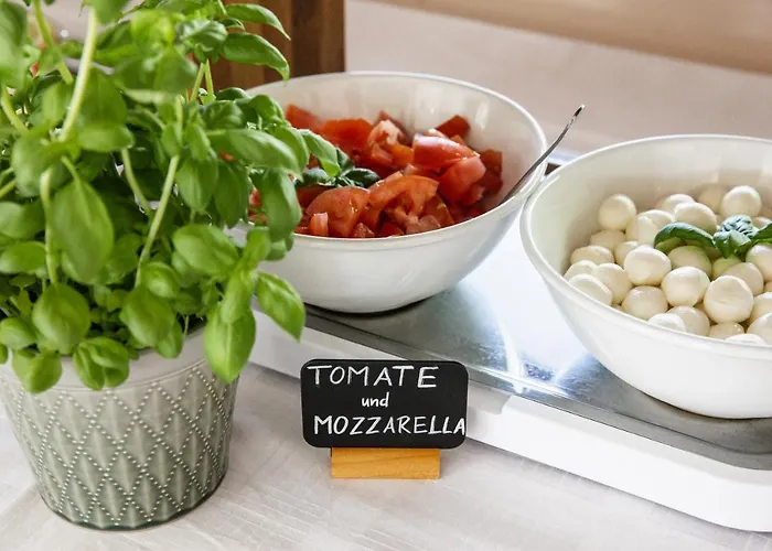 Schiffsherberge Pöppelmann Botel Dresden