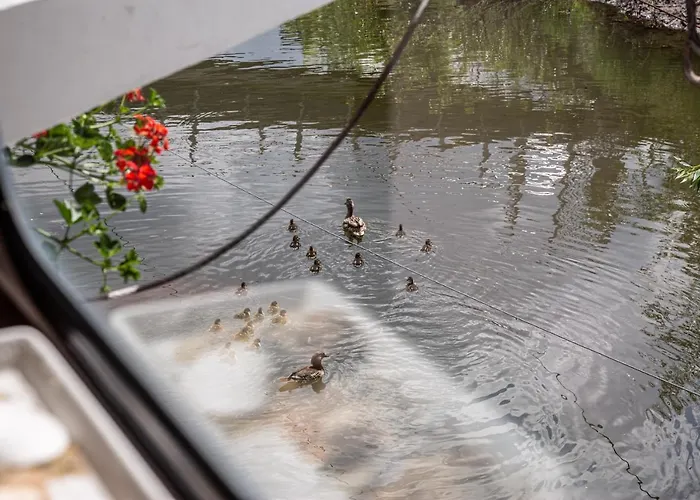 Hotel na wodzie Schiffsherberge Poeppelmann Drezno