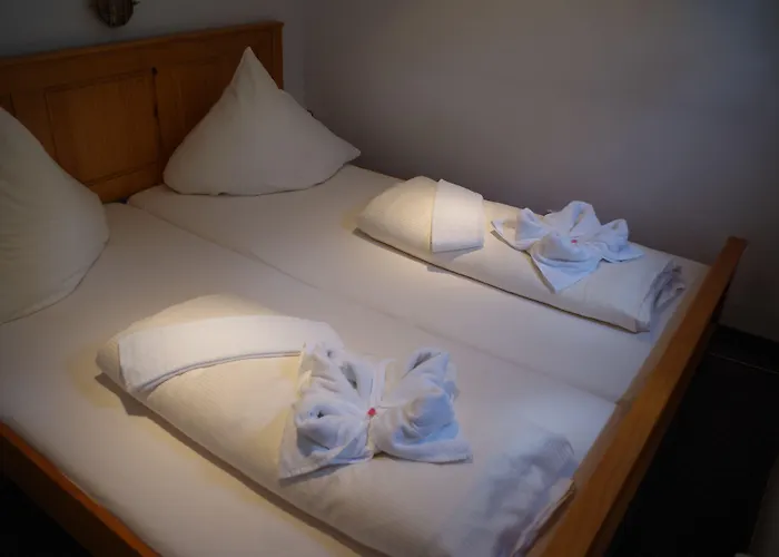 Schiffsherberge Poeppelmann Hotel na wodzie Drezno