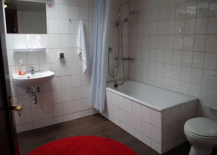 Schiffsherberge Poeppelmann Dresde